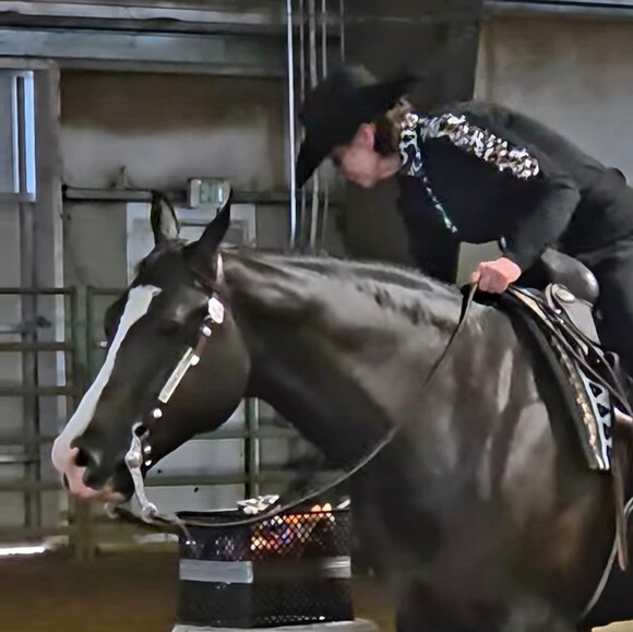 horsegrls4evr